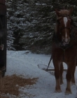 Filename=1998-1999_-_Little_Men_S01E10_mkv3919.jpg
Filesize=463KiB
Dimensions=1280x960
Date added=Aug 13, 2025 1998-1999_-_Little_Men_S01E10_mkv3919.jpg