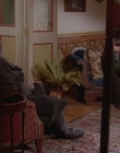 Filename=1998-1999_-_Little_Men_S01E11_mkv5943.jpg
Filesize=515KiB
Dimensions=1280x960
Date added=Aug 13, 2025 1998-1999_-_Little_Men_S01E11_mkv5943.jpg
