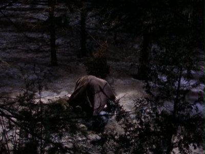 1998-1999_-_Little_Men_S01E13_mkv2180.jpg