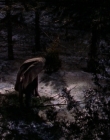 Filename=1998-1999_-_Little_Men_S01E13_mkv2177.jpg
Filesize=497KiB
Dimensions=1280x960
Date added=Aug 13, 2025 1998-1999_-_Little_Men_S01E13_mkv2177.jpg