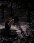 Filename=1998-1999_-_Little_Men_S01E13_mkv2178.jpg
Filesize=499KiB
Dimensions=1280x960
Date added=Aug 13, 2025 1998-1999_-_Little_Men_S01E13_mkv2178.jpg