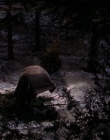 Filename=1998-1999_-_Little_Men_S01E13_mkv2179.jpg
Filesize=496KiB
Dimensions=1280x960
Date added=Aug 13, 2025 1998-1999_-_Little_Men_S01E13_mkv2179.jpg