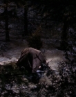 Filename=1998-1999_-_Little_Men_S01E13_mkv2180.jpg
Filesize=504KiB
Dimensions=1280x960
Date added=Aug 13, 2025 1998-1999_-_Little_Men_S01E13_mkv2180.jpg