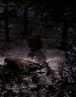 Filename=1998-1999_-_Little_Men_S01E13_mkv2182.jpg
Filesize=504KiB
Dimensions=1280x960
Date added=Aug 13, 2025 1998-1999_-_Little_Men_S01E13_mkv2182.jpg