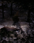 Filename=1998-1999_-_Little_Men_S01E13_mkv2183.jpg
Filesize=510KiB
Dimensions=1280x960
Date added=Aug 13, 2025 1998-1999_-_Little_Men_S01E13_mkv2183.jpg