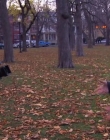 2007_-_A_Broken_Life_mkv1728.jpg