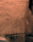 Filename=2007_-_House_Of_Fears_mp42511.jpg
Filesize=582KiB
Dimensions=1920x1080
Date added=Aug 13, 2025 2007_-_House_Of_Fears_mp42511.jpg