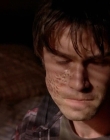 2008_-_Heartland_S01E08_mkv1036.jpg