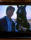 2008_-_Heartland_S01E08_mkv1304.jpg