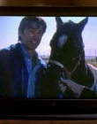 2008_-_Heartland_S01E08_mkv1305.jpg