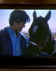 2008_-_Heartland_S01E08_mkv1306.jpg