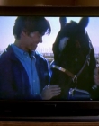 2008_-_Heartland_S01E08_mkv1307.jpg