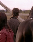 Filename=2008_-_Heartland_S01E08_mkv2177.jpg
Filesize=372KiB
Dimensions=1276x720
Date added=Aug 13, 2025 2008_-_Heartland_S01E08_mkv2177.jpg