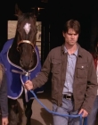 Filename=2008_-_Heartland_S01E08_mkv2239.jpg
Filesize=391KiB
Dimensions=1276x720
Date added=Aug 13, 2025 2008_-_Heartland_S01E08_mkv2239.jpg