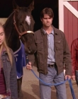 Filename=2008_-_Heartland_S01E08_mkv2242.jpg
Filesize=470KiB
Dimensions=1276x720
Date added=Aug 13, 2025 2008_-_Heartland_S01E08_mkv2242.jpg