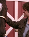 Filename=2008_-_Heartland_S01E08_mkv2261.jpg
Filesize=434KiB
Dimensions=1276x720
Date added=Aug 13, 2025 2008_-_Heartland_S01E08_mkv2261.jpg