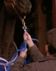 Filename=2008_-_Heartland_S01E08_mkv2271.jpg
Filesize=279KiB
Dimensions=1276x720
Date added=Aug 13, 2025 2008_-_Heartland_S01E08_mkv2271.jpg