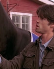Filename=2008_-_Heartland_S01E08_mkv2301.jpg
Filesize=402KiB
Dimensions=1276x720
Date added=Aug 13, 2025 2008_-_Heartland_S01E08_mkv2301.jpg
