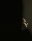 Filename=2009_-_The_Jazzman_mp42234.jpg
Filesize=130KiB
Dimensions=1280x720
Date added=Aug 13, 2025 2009_-_The_Jazzman_mp42234.jpg