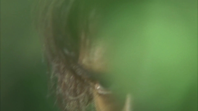2010_-_The_Lost_Future_mp40015.jpg