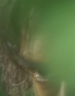 Filename=2010_-_The_Lost_Future_mp40015.jpg
Filesize=349KiB
Dimensions=1920x1080
Date added=Aug 11, 2025 2010_-_The_Lost_Future_mp40015.jpg