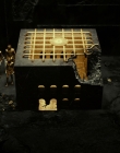2011_-_Immortals_mp45257.jpg
