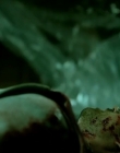 Filename=2014_-_Motive_S02E06_mp41203.jpg
Filesize=108KiB
Dimensions=720x404
Date added=Aug 11, 2025 2014_-_Motive_S02E06_mp41203.jpg