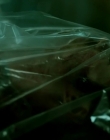 2014_-_Motive_S02E06_mp41830.jpg