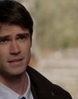 2014_-_The_Tree_That_Saved_Christmas_mkv1902.jpg