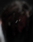 Filename=2015_-_Demon_Gate_mp41009.jpg
Filesize=203KiB
Dimensions=1920x1080
Date added=Aug 11, 2025 2015_-_Demon_Gate_mp41009.jpg