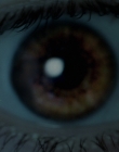 Shadows_28729.jpg