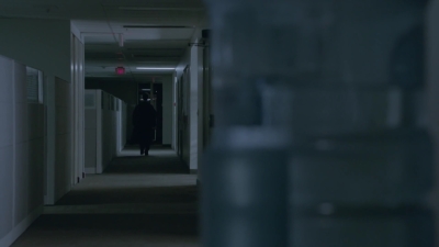 2015_-_Shadows_mp41276.jpg