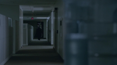 2015_-_Shadows_mp41277.jpg