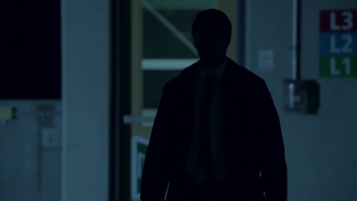 2015_-_Shadows_mp41482.jpg