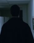 2015_-_Shadows_mp41279.jpg