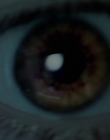 Filename=2015_-_Shadows_mp41396.jpg
Filesize=341KiB
Dimensions=1920x1080
Date added=Aug 11, 2025 2015_-_Shadows_mp41396.jpg
