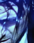 Filename=2015_-_Shadows_mp41652.jpg
Filesize=568KiB
Dimensions=1920x1080
Date added=Aug 11, 2025 2015_-_Shadows_mp41652.jpg