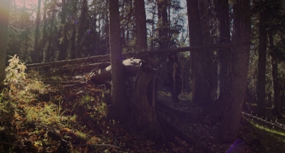 2016_-_The_Northlander_mp40266.jpg