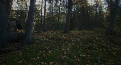 2016_-_The_Northlander_mp40346.jpg