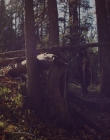 2016_-_The_Northlander_mp40266.jpg