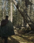 Filename=2016_-_The_Northlander_mp40311.jpg
Filesize=1127KiB
Dimensions=1920x1036
Date added=Aug 11, 2025 2016_-_The_Northlander_mp40311.jpg