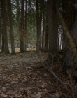 Filename=2016_-_The_Northlander_mp40358.jpg
Filesize=1153KiB
Dimensions=1920x1036
Date added=Aug 11, 2025 2016_-_The_Northlander_mp40358.jpg