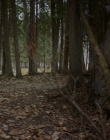 Filename=2016_-_The_Northlander_mp40359.jpg
Filesize=1142KiB
Dimensions=1920x1036
Date added=Aug 11, 2025 2016_-_The_Northlander_mp40359.jpg