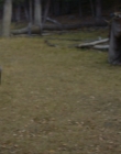 Filename=2016_-_The_Northlander_mp40379.jpg
Filesize=886KiB
Dimensions=1920x1036
Date added=Aug 11, 2025 2016_-_The_Northlander_mp40379.jpg
