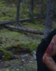 Filename=2016_-_The_Northlander_mp45141.jpg
Filesize=868KiB
Dimensions=1920x1036
Date added=Aug 11, 2025 2016_-_The_Northlander_mp45141.jpg