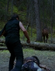Filename=2016_-_The_Northlander_mp45196.jpg
Filesize=1353KiB
Dimensions=1920x1036
Date added=Aug 11, 2025 2016_-_The_Northlander_mp45196.jpg