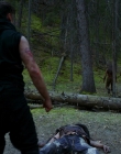 Filename=2016_-_The_Northlander_mp45198.jpg
Filesize=1262KiB
Dimensions=1920x1036
Date added=Aug 11, 2025 2016_-_The_Northlander_mp45198.jpg