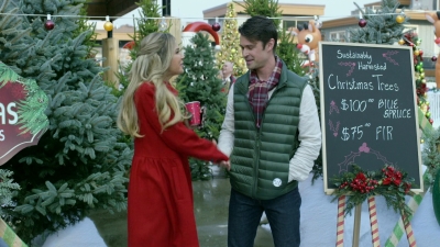 2017_-_Four_Christmases_and_A_Wedding_mp40692.jpg