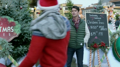 2017_-_Four_Christmases_and_A_Wedding_mp40731.jpg
