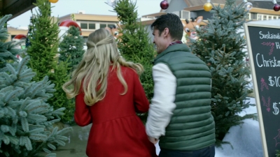 2017_-_Four_Christmases_and_A_Wedding_mp40736.jpg